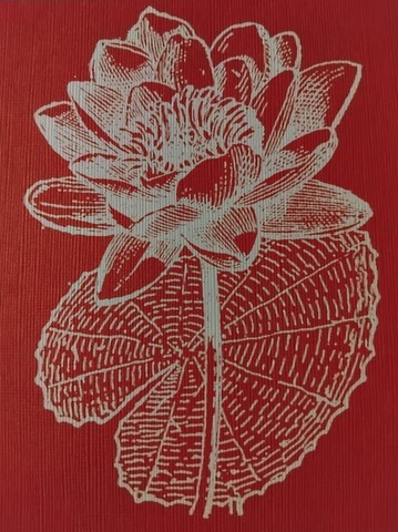 Massage bien être et massage thaïlandais